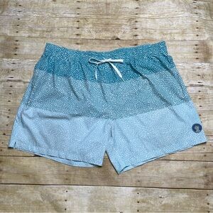 Chubbies Men’s The Whale Sharks 5.5 Swim Trunks Blue Messed Lined